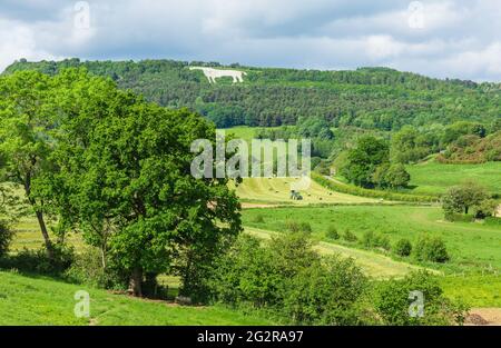 Haymaking in the rural, picturesque village of Kilburn, near Thirsk in North Yorkshire with the landmark hill figure of the White Horse of Kilburn in Stock Photo