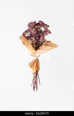 Bouquet of dried thyme isolated on white background. Close up. Stock Photo
