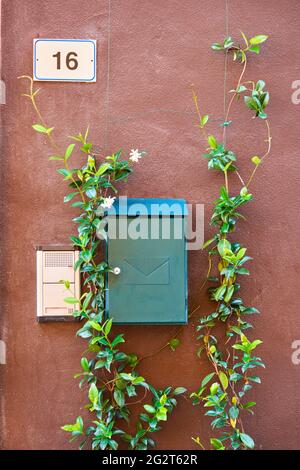 Metal letter box on wall of italian house decorated by climbing plant Stock Photo