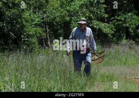 Man in his 60's searching for butterflies Stock Photo