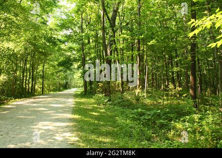 Sand Run Metro Park: A journey though the woods Stock Photo
