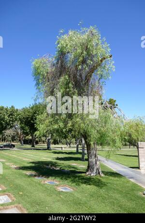 Cathedral City, California, USA 10th June 2021 A general view of atmosphere of Desert Memorial Park at 31-705 Da Vall Drive in Cathedral City, California, USA. Photo by Barry King/Alamy Stock Photo Stock Photo