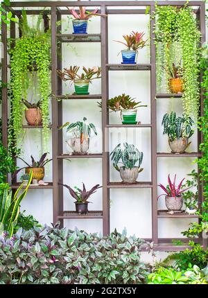 tree in pot decorate on steel shelf Stock Photo