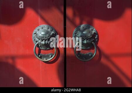 19.02.2018, Singapore, Republic of Singapore, Asia - Metal door knockers and handles made of brass depicting a lion head on a red door in Chinatown. Stock Photo