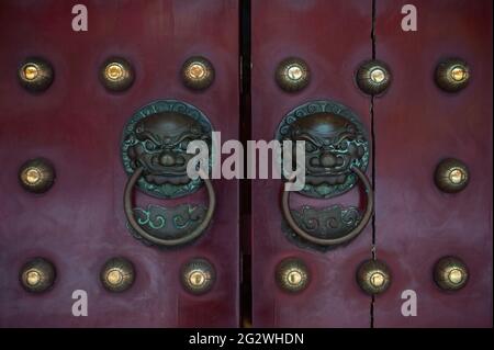29.01.2021, Singapore, Republic of Singapore, Asia - Metal door knockers and handles made of brass depicting a lion head on a red door in Chinatown. Stock Photo