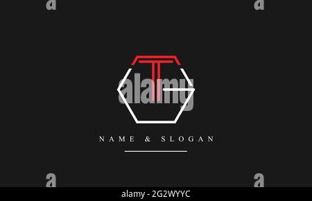 Letter Logo Design with Creative Modern Trendy Typography GT TG Stock Vector