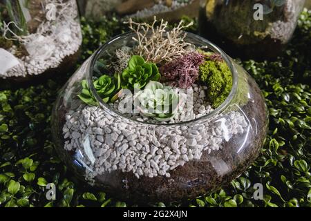 Decorative artificial plants in a glass pot Stock Photo