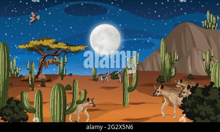 Animals live in desert forest landscape at night scene illustration Stock Vector