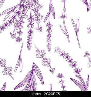 lavender seamless pattern. Vector outline illustration in hand drawn engraved style, background for fabric, textile, wrapping paper, sketchbook etc Stock Vector