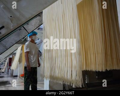 (210613) -- XINGTAI, June 13, 2021 (Xinhua) -- A staff member works on the production line of a local noodle factory in Xingtai, north China's Hebei Province, June 9, 2021. With the summer wheat harvest underway, farmers in north China's Xingtai have been busy in the fields to reap the year's premium grains.   In Xingtai, a total of 65 farmers have joined the Jinshahe specialized cooperative that provides them with technical guidance in crop harvesting.    The cooperative will sell freshly harvested crops to a local noodle factory where staple products are made and sold to customers. (Xinhua/J Stock Photo