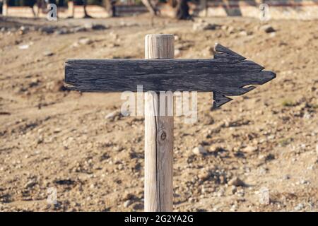 Wooden sign with arrow in stand in the forest under a tree. The concept of Hiking, nature landscape environment concept image of empty space for your Stock Photo
