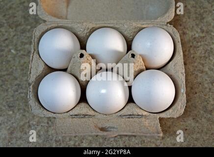 Half a dozen white chicken eggs on cardboard box Stock Photo