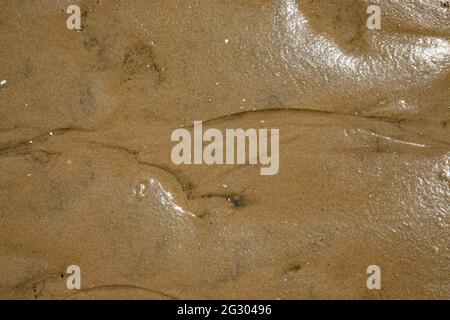 Patterns caused by water flow in wet beach sand Stock Photo