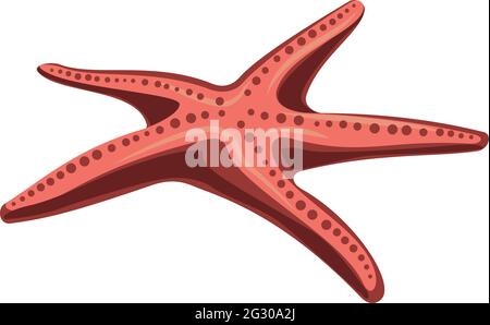 Starfish Isolated on white. Underwater world. Vector illustration Stock Vector