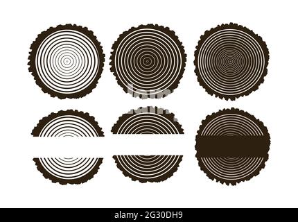 Tree Rings Annual Tree Rings . Saw cut tree trunk Tree growth rings. Stock Vector