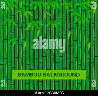 Green bamboo tree plant leaves background Stock Vector