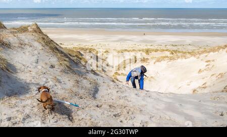 Mature woman climbing a coastal dune among the white sand with her dachshund with the beach and sea in the background, sunny day in Hargen aan Zee, No Stock Photo