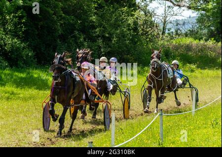 https://l450v.alamy.com/450v/2g310bk/dunmanway-west-cork-ireland-13th-june-2021-there-was-an-8-race-card-of-sulky-racing-at-ballabuidhe-race-track-dunmanway-today-with-spectators-taking-full-advantage-of-the-sunshine-on-the-hottest-day-of-the-year-so-far-credit-ag-newsalamy-live-news-2g310bk.jpg