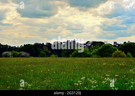 Clouds over field Stock Photo