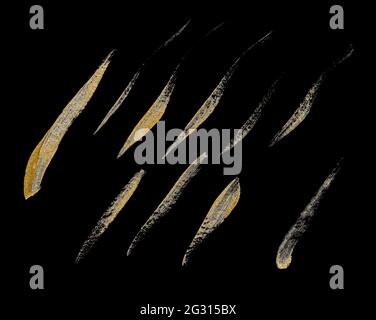 Collection of various hand drawing golden paint brush strokes isolated on black background Stock Photo