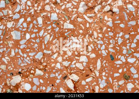 Outdoors, day light Front view. Stock Photo