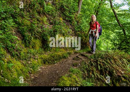 Hiking on the Escardienne LEE Trail hiking trail near Lipperscheid, Luxembourg Stock Photo