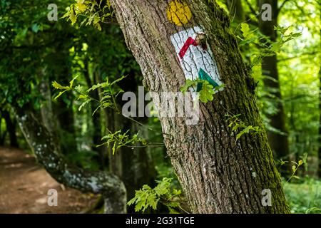 Marked hiking trails in Luxembourg