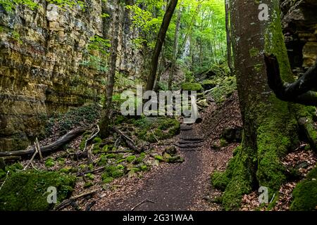 Hiking trail through the Wolf Gorge in the Mullerthal Valley near Echternach, Luxembourg Stock Photo