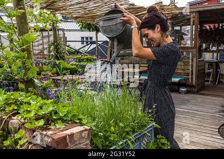 Urban Gardening on the Rooftop of Graace Hotel in Luxembourg Stock Photo