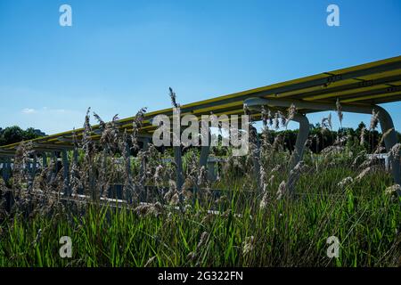 The Campeon (a portmanteau of Campus and Infineon - INTEL) is an office complex embedded in a large public landscape park with water areas. Stock Photo