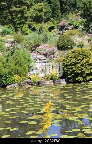 Utrecht University Botanic Gardens Stock Photo