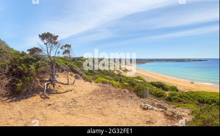 Scenic landscape with dry tree and view of Lara beach. Akamas peninsula, Cyprus Stock Photo