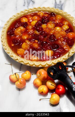open top fresh homemade cherry pie filling with Rainer and dark red cherries with a cherry pitter Stock Photo