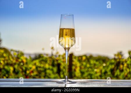 Outdoor Pinotage wine tasting in Stellenbosch vineyard cape town South Africa Stock Photo