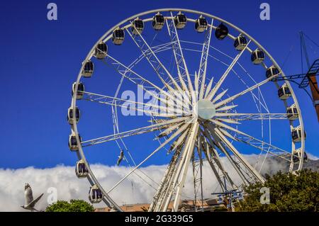 V&A ( Victoria and Alfred ) waterfront cape giant wheel in cape town South Africa Stock Photo