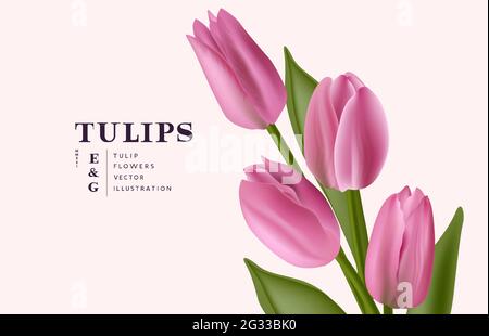 Floral realistic bunch of Tulip flowers background. Contemporary layout vector illustration. Stock Vector