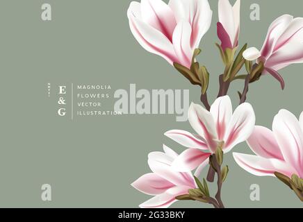 Natural magnolia realistic flowers contemporary event layout designs. Marketing floral pattern background vector illustration. Stock Vector
