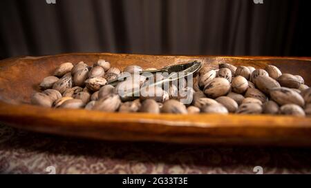 Raw in shell whole Pecan nuts in a wooden bowl on a wood table with a vintage nut cracker Stock Photo