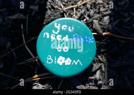 Round kindness rock with message you need rain to bloom Stock Photo