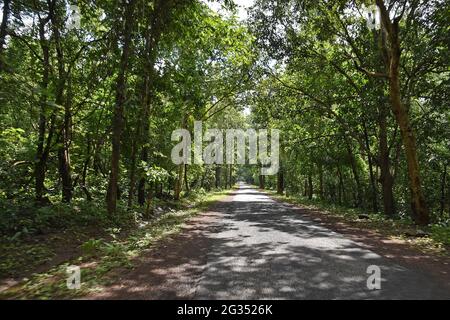 Koraput, Odisha, India Stock Photo