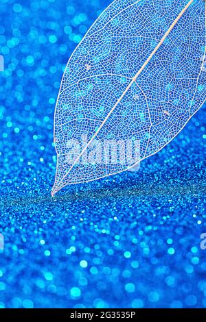 Expressive artistic image of beauty and purity of nature. Beautiful white skeletonized leaf on light blue background with round bokeh. Stock Photo