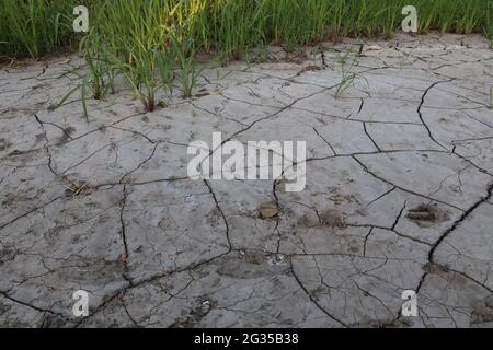 The texture of dry cracked clay soil. Cracks and fractures on the earth's surface. Concept global warming. Stock Photo