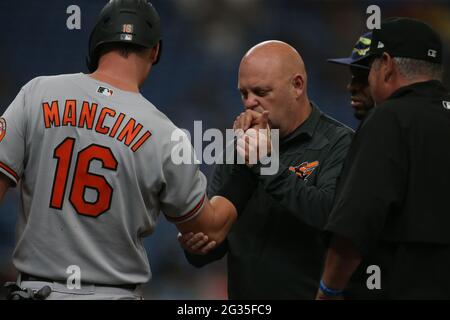 Baltimore Orioles' Trey Mancini (16), Rio Ruiz (14), Richie Martin