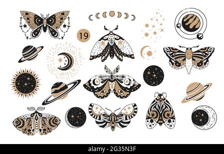 moth logo moth m logo mystic Stock Vector Image & Art - Alamy