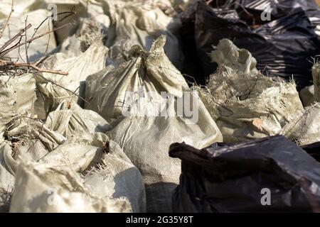 Lots of black trash bags with autumn leaves in them around a tree Stock  Photo - Alamy