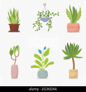 Set of house plants Stock Vector