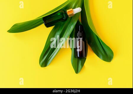 Serum bottle on green leaf. Trendy beauty product for young skin. Additional moisturizing step in everyday facial routine Stock Photo