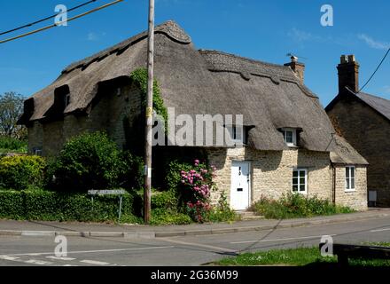 A thatched cottage in Tackley village, Oxfordshire, England, UK Stock Photo