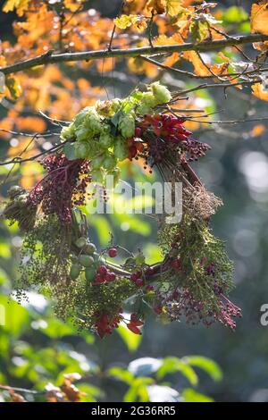 autumn wreath made from collected natural materials hanging at an oak twig Stock Photo