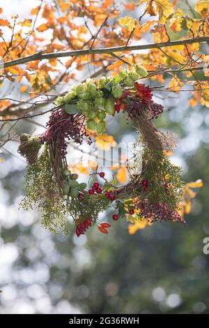 autumn wreath made from collected natural materials hanging at an oak twig Stock Photo
